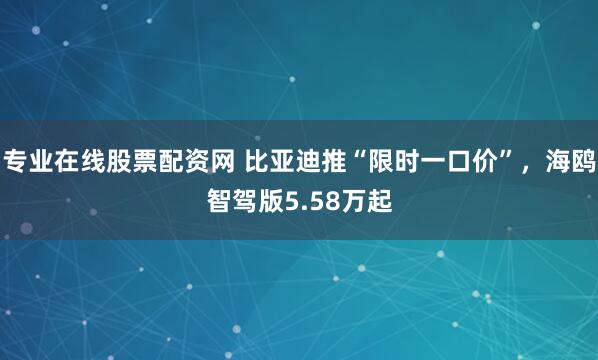 专业在线股票配资网 比亚迪推“限时一口价”，海鸥智驾版5.58万起