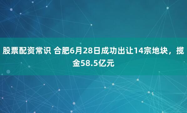 股票配资常识 合肥6月28日成功出让14宗地块，揽金58.5亿元