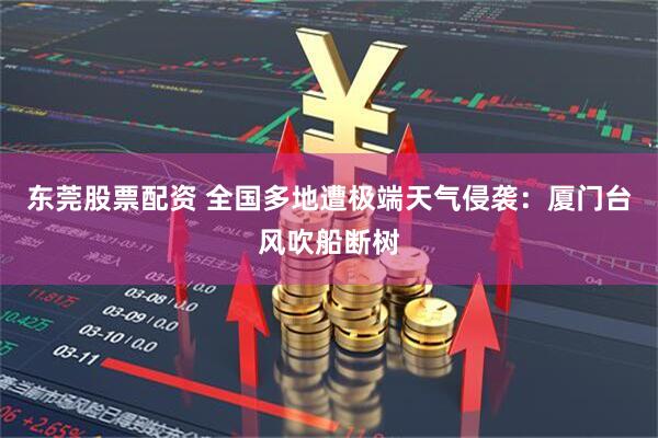 东莞股票配资 全国多地遭极端天气侵袭：厦门台风吹船断树